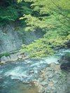 11年連続で水質日本一に選ばれた『荒川』が流れています