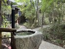 中庭の源泉