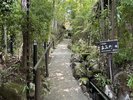 中庭