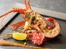 2026年【秋冬】味覚 伊勢エビ