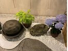 七夕(ロビー)