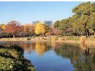皇居まで徒歩圏内