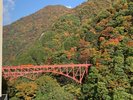 【景観】紅葉をバックに走る黒部渓谷トロッコ電車は最高♪