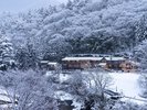 冬の柏屋