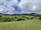 稲取細野高原