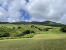 稲取細野高原