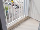 石垣島の柔らかな光のコントラスト