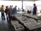 2ヵ月に１回開催される「魚祭り」（熱海魚市場）朝穫れ地魚の大特売や無料提供など実施。入場無料