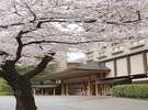 【春】玄関前の桜並木 4月上旬から中旬が見頃です
