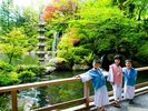 日本庭園の大きな鯉とカモたちにお子様たちは大興奮♪