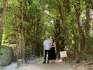フクギ並木まで車で30分