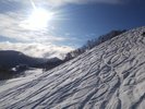 �����쉷��X�L�[��