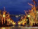 夜の八幡坂