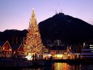 【Xmasファンタジー】毎年12/1〜12/25の開催される冬の一大イベント!