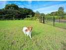 【小型・中型犬専用ドッグラン】と【大型犬用専用ドッグラン】を併設