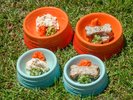 【ワンちゃん用のお食事】サイズ2種(S、M)を展開 ※有料・要事前予約