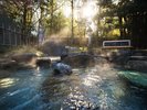 竹林のささやきが湯情をかきたてる天然温泉100%露天風呂