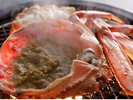 【冬・お料理】活松葉ガニの焼きガニ・濃厚な焼き甲羅味噌の旨味を堪能!