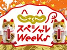 スペシャルウィーク