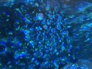 幻想的なプラネタリウムの貸し出しあり