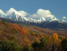 冠雪する八ヶ岳連峰と見事な三段紅葉