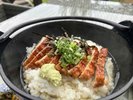 朝から元気もりもり♪うなちゃ