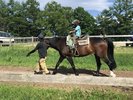 【滝沢牧場・乗馬体験】施設から車で約30分★