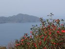 長崎県松浦市と佐賀県唐津市の間に佇む当館。
