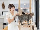 【エグゼクティブツイン】猫ちゃんも泊まれるお部屋です。