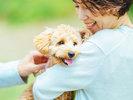 【ドッグラン】愛犬と一緒にゆっくり流れる島時間をお過ごしください。