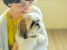 【滞在イメージ】ご滞在中は、お風呂以外どこでも愛犬と一緒にお過ごしいただけます。