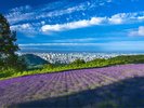 Hokkaido