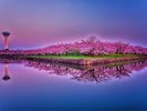 Hokkaido