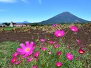 Hokkaido