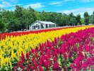 Hokkaido