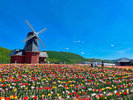 Hokkaido