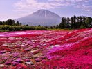 Hokkaido