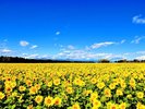 Hokkaido