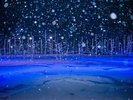 Hokkaido