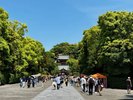 【鎌倉】鶴岡八幡宮