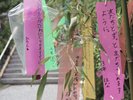 車で5分の高家神社にて開催される七夕まつり・涼詣(6月末〜8月)