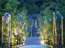 車で5分の高家神社にて開催される七夕まつり・涼詣(6月末〜8月)