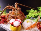 一品料理 伊勢海老お造り