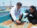 ���������狙�`�ł��̓����g�����ꂽ����ނ�ڗ����B