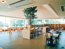 AOSHIMA PICNIC CLUB�uBAKERY&COMMUNITY LOUNGE�v
