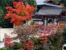 参道の紅葉