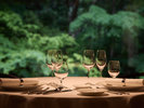 Restaurant「chapeau」