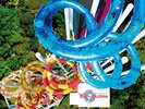【ハワイアンズ】ビッグアロハ