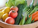 【旬の食材】地元をはじめ、旬の野菜全国から仕入れています。
