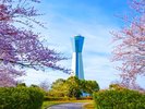 【三崎公園】広大な緑の芝生の中でリフレッシュ!360度の大パノラマ「マリンタワー」にも是非登ろう♪